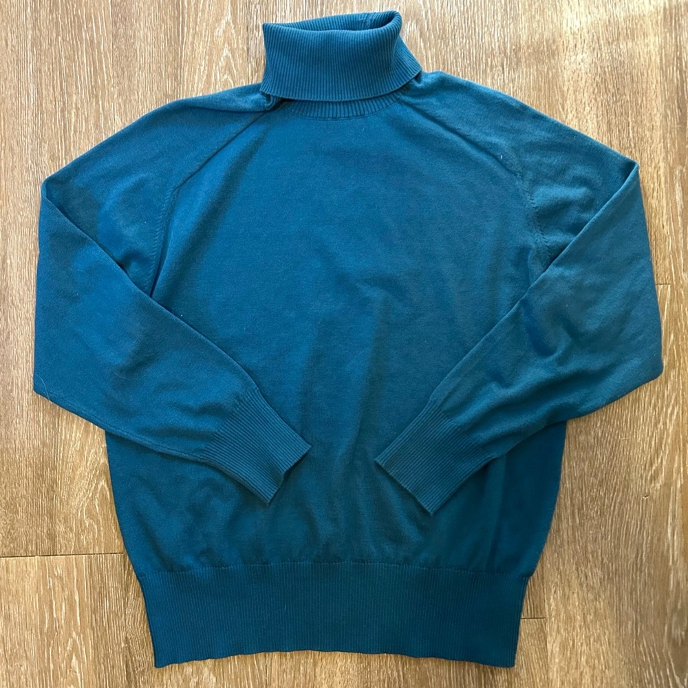 Universal Standard turtleneck sweater